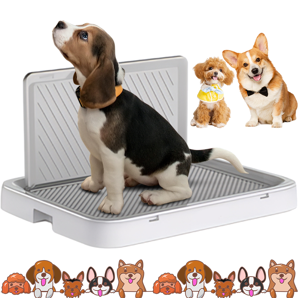 Dog Potty Tray with Pee Wall T - Bench Dog Hole 리뷰 및 가격