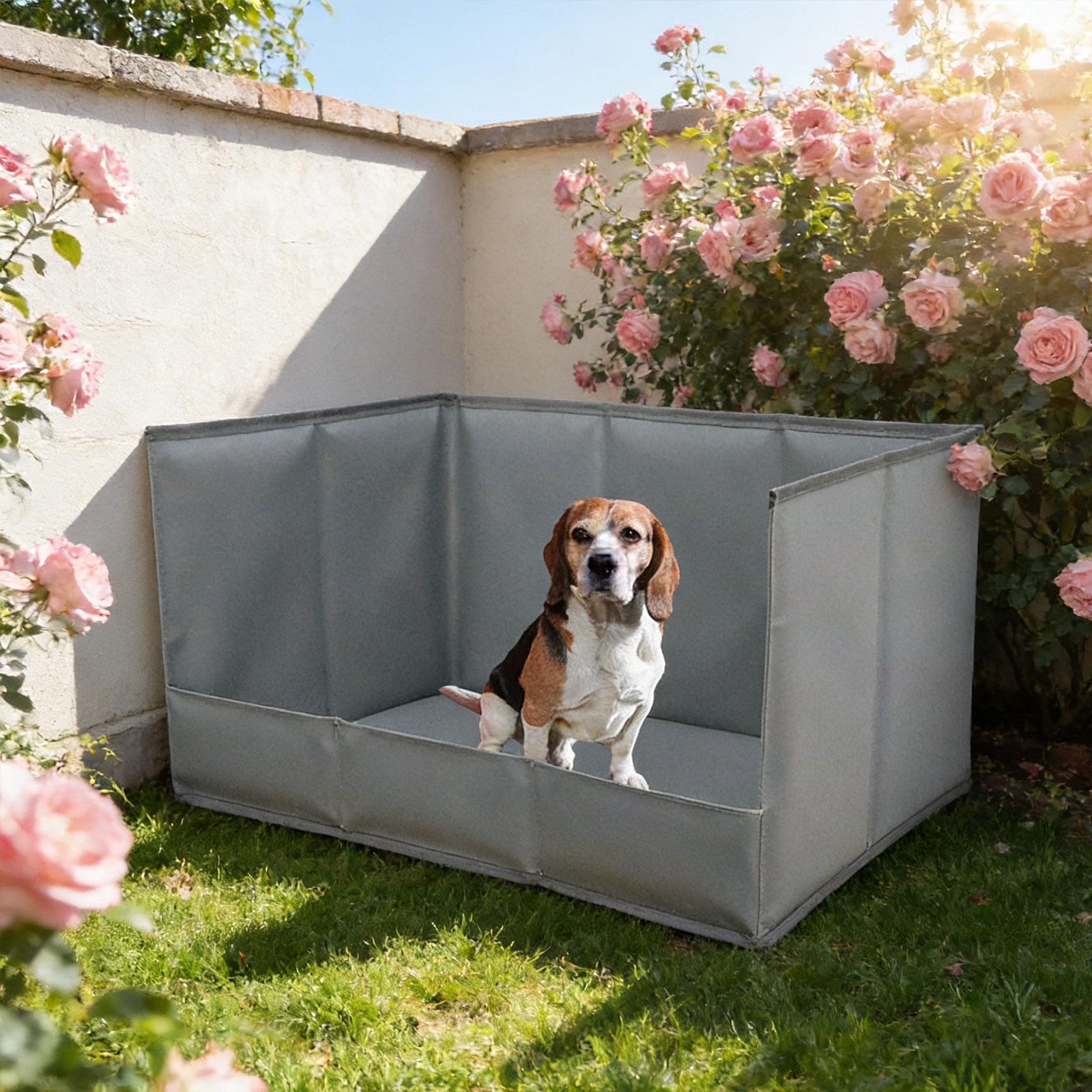 Portable Indoor Dog Potty Tray - Bench Dog Hole 리뷰 및 가격