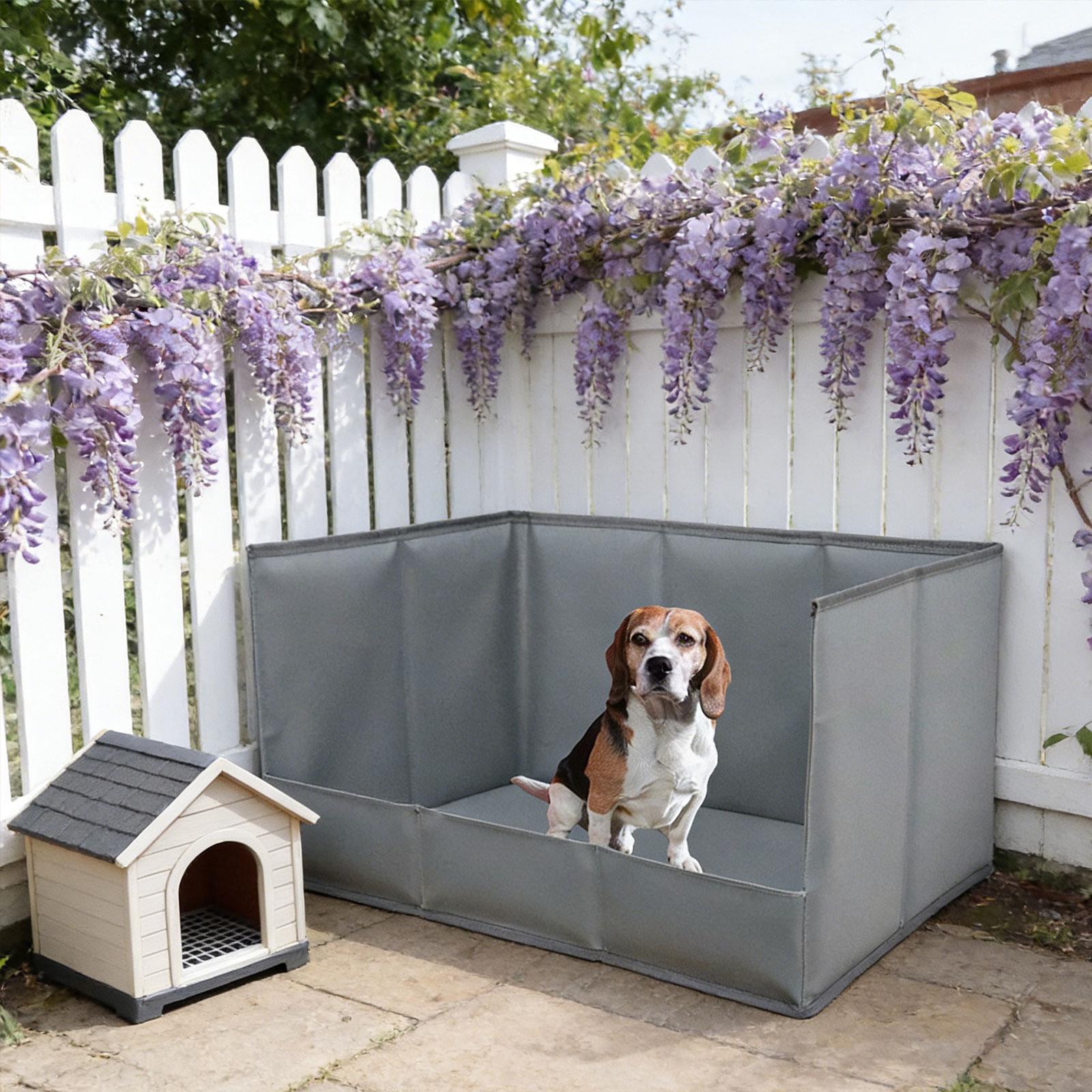 Portable Indoor Dog Potty Tray - Bench Dog Hole 리뷰 및 가격