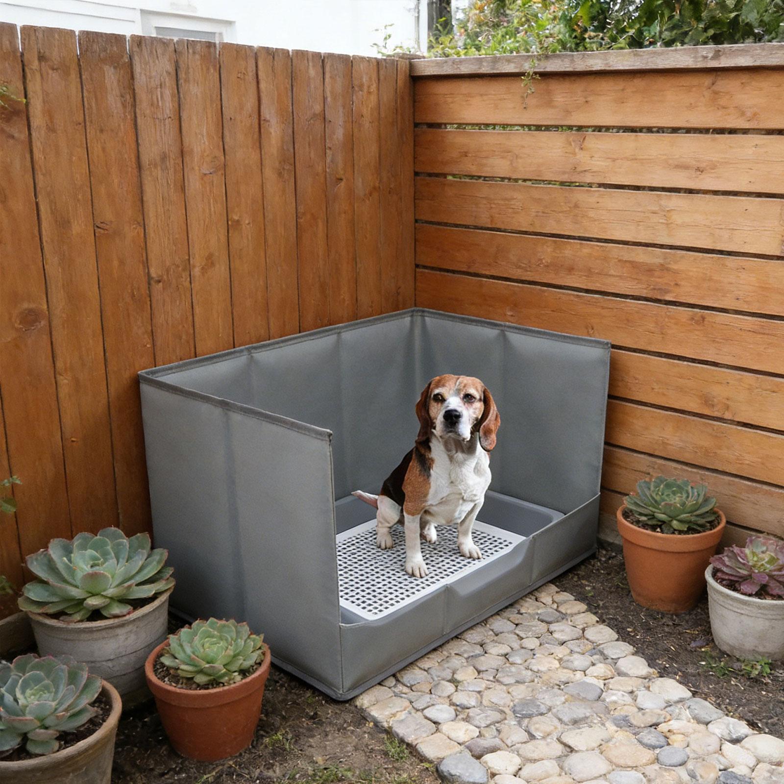Portable Indoor Dog Potty Tray - Bench Dog Hole 리뷰 및 가격